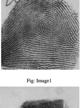 Fig: Image3                                                     Fig: Image4 