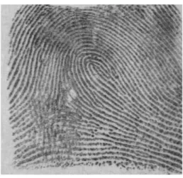 Fig: Image1                                                     Fig: Image2 