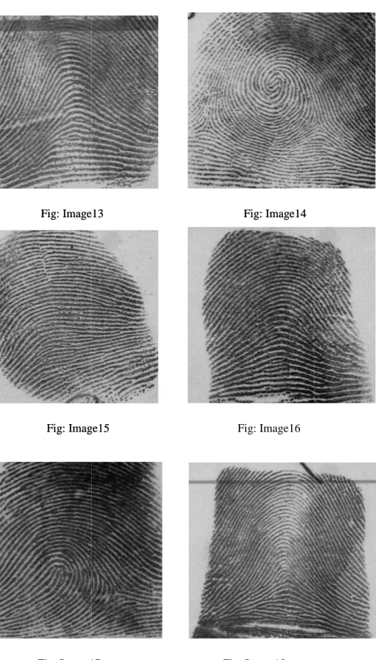 Fig: Image15                                   Fig: Image16 