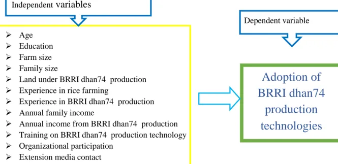 Figure 2.1 The conceptual framework of the study 