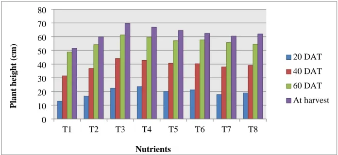 Fig. 1. Effect of nutrients on plant height of broccoli.