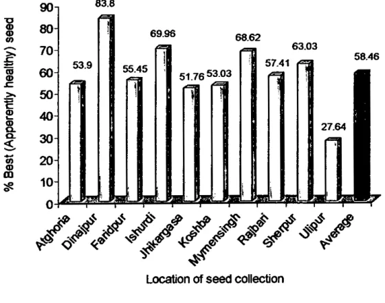 Fig. 3. 'Best' or apparently healthy wheat seed recovered from fanners saved wheat seed collected from ten different locations of Bangladesh.