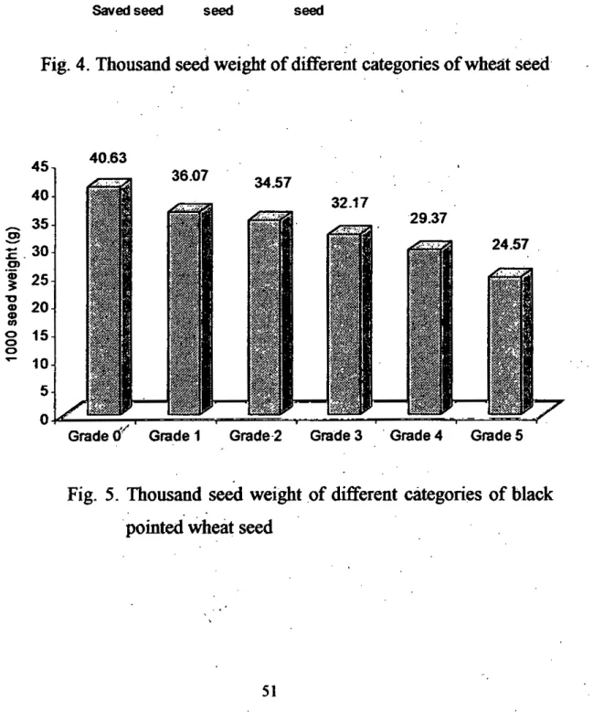 Fig. 5. Thousand seed weight of different categories of black .pointed wheat seed