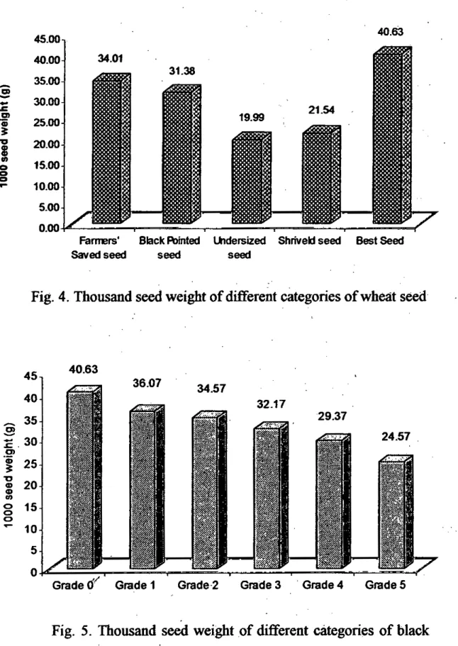 Fig. 4. Thousand seed weight of different categories of wheat seed
