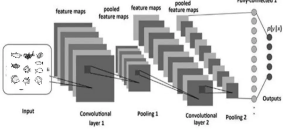 Figure 2.1.2: Convolutional neural networks (CNN) architecture