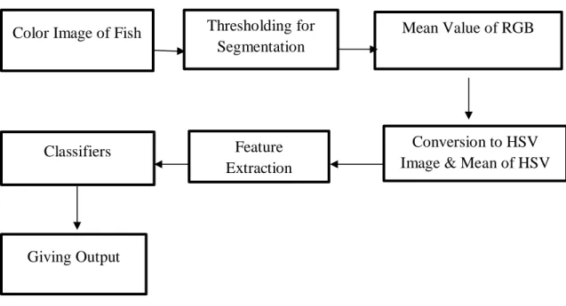 Figure 3.4: Block Diagram for the coastal fish recognition  Color Image of Fish Thresholding for 