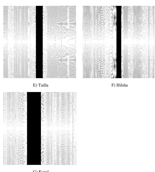 Figure 3.4.2(d): Fourier Transform of segmented images of A) Rupchandra B) Poa C)  Loitta D) Bailla E) Tailla F) Hilsha G) Koral 