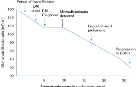 Figure 2.1: Proposed clinical progression of diabetic kidney disease [3] 