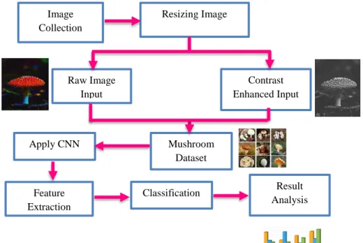 Figure 1: Working process of the proposed model Mushroom 