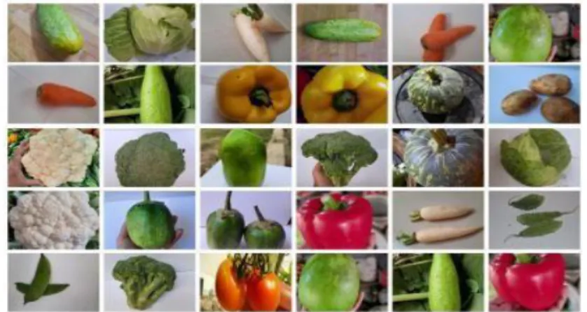 Fig. 3.1. Random Examples From The Vegetable Image Dataset.
