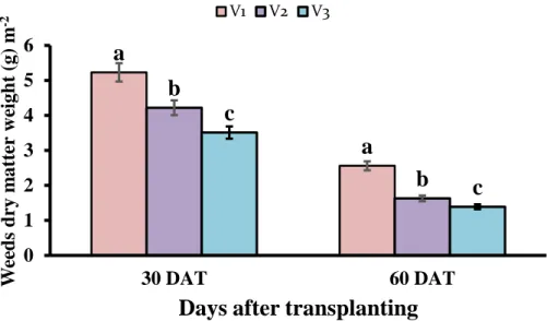 Figure 4. Effect of variety on weed dry weight m -2  of T. aman rice at different days    after  transplanting