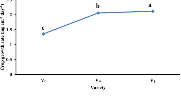Figure 18. Effect of variety on the crop growth rate of T. aman rice. 
