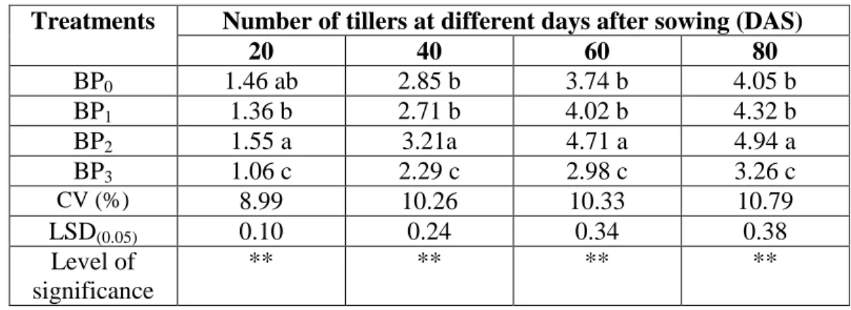Table 7. Effect of Biochar and Phosphorus on number of tillers hill -1  at different  days after sowing 