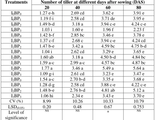 Table 8. Interaction effect of irrigation with biochar and phosphorus on number of  tillers hill -1  at different days after sowing 