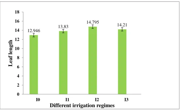 Figure 2. Effect of different irrigation regime on leaf length of wheat plant  (LSD 0.05 =0.67).