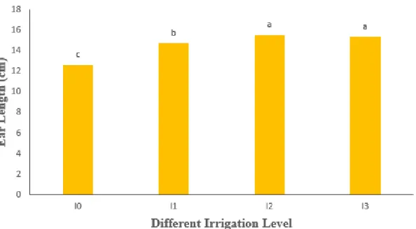 Figure 7. Influence of different levels of irrigation on ear length of wheat (LSD 0.05 =   0.453) 