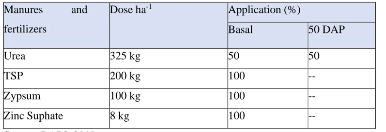 Table 1. Doses and methods of application of manure and fertilizers in the potato field 
