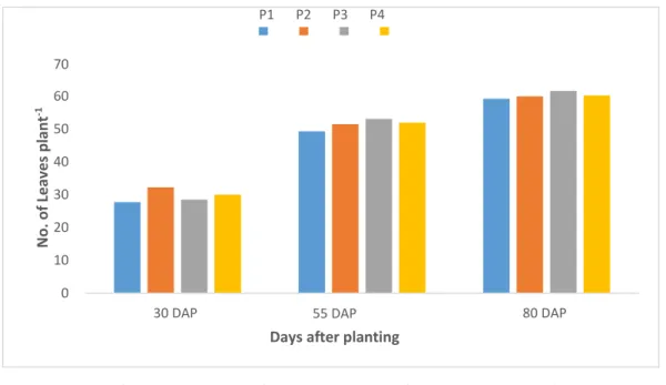 Figu r e 1.  Effect  of  phosphorus  dose  on  no.  of  leaves  of  potato  at  different  days            after      planting (DAP) 
