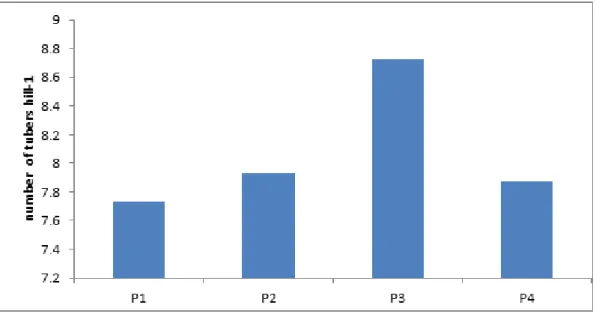 Figure 5. Effect of phosphorus dose on number of tubers hill -1
