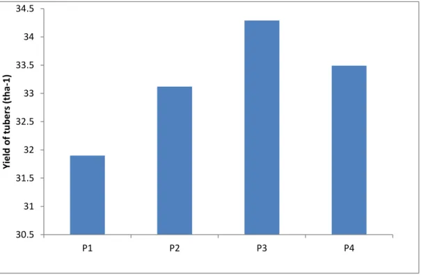 Figure 7. Effect of phosphorus dose on yield of potato (tha -1 )