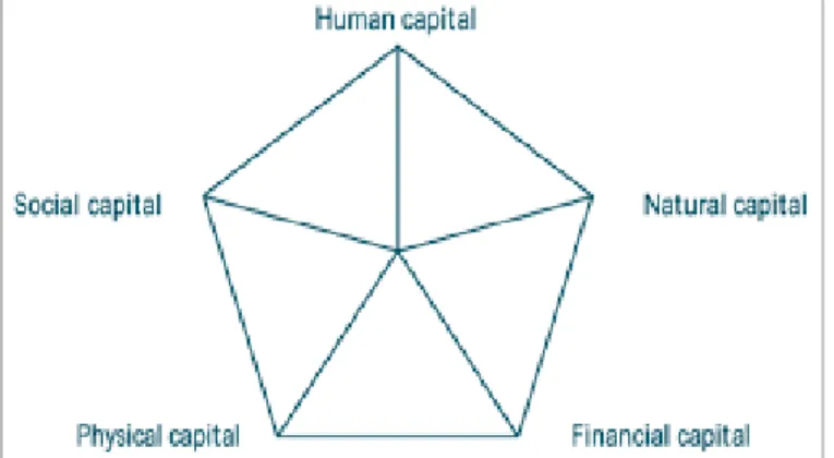 Figure 3.2: Livelihood Assets pentagon (Source: DFID, 2002) 