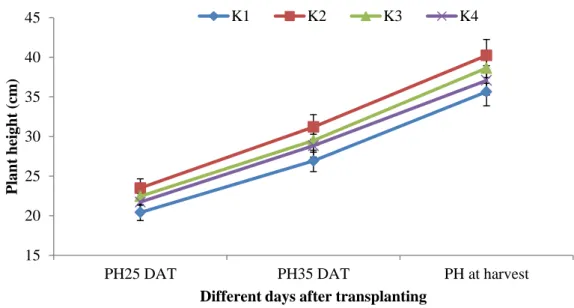 Fig. 1. Effect of different organic and chemical sources of potassium on plant height  at different days after transplanting of kohlrabi 