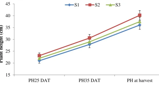 Fig. 2. Effect of age of seedlings on plant height at different days after transplanting  of kohlrabi 