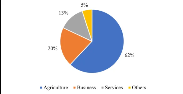 Figure 4.1 Distribution of the farmers according to their occupation 
