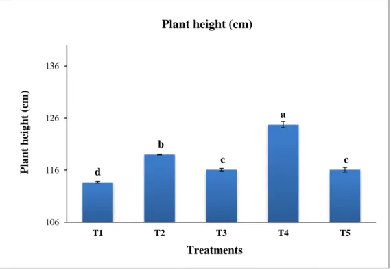 Figure 3. Graphical representation of residual effect of different doses of chitosan raw                    material powder on plant height (cm) of okra (BARI Dheros-1)