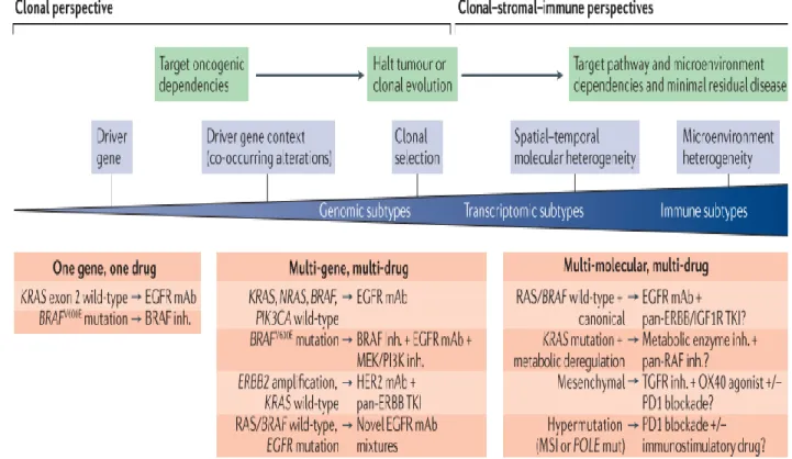 Figure 5: Emerging paradigms of precision medicine in CRC (adapted from (Dienstmann et  al.,2017)) 