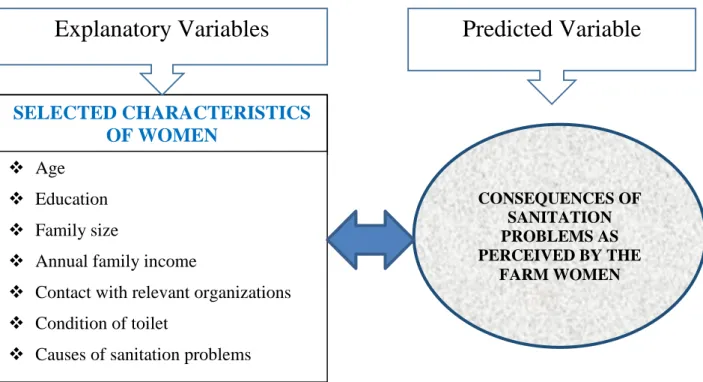 Figure 2.1 Conceptual framework of the study SELECTED CHARACTERISTICS 