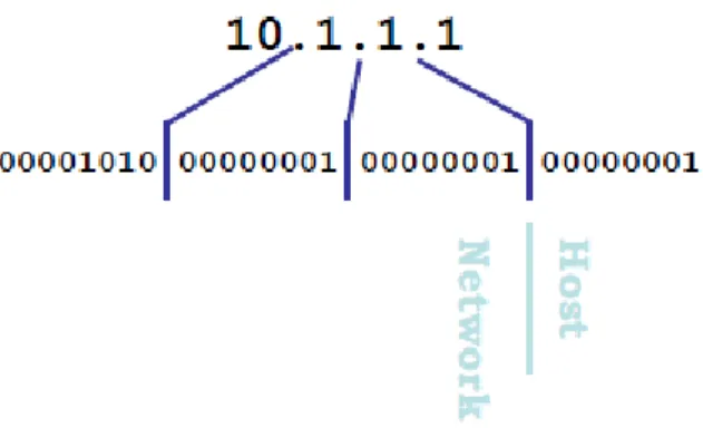 Fig 9:  Host &amp; Network 