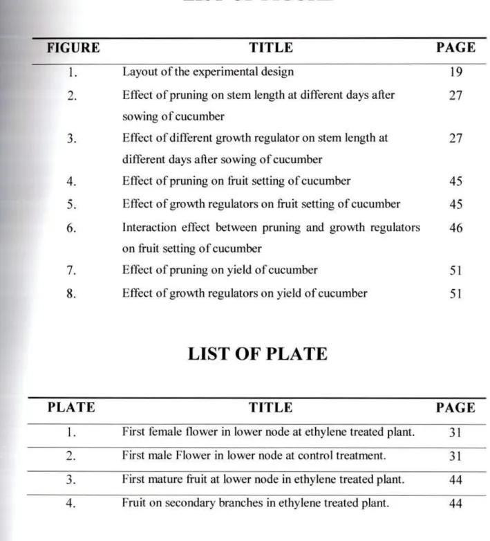 FIGUR E  TITL E  PAGE 