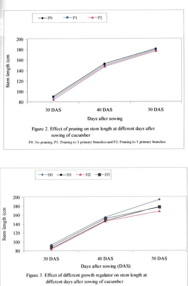 Figure  3.  Effect  of different  growth  regulator  on  stem  length  at  different  days  after  sowing  of cucumber 