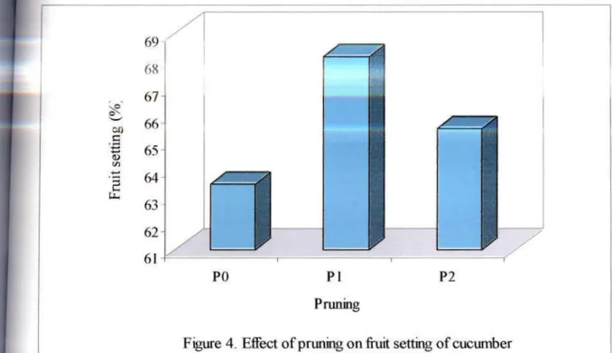 Figure  4.  Effect  of  pruning  on  fruit  setting  of  cucumber 69 l ~ 