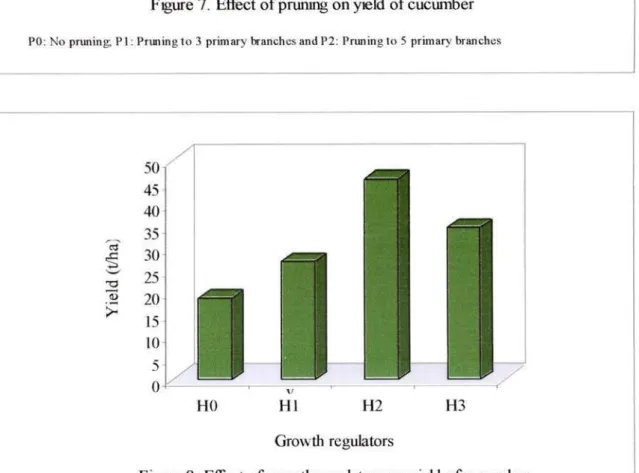 Figure  7.  Effect  of pruning on  yield  of cucumber 40 
