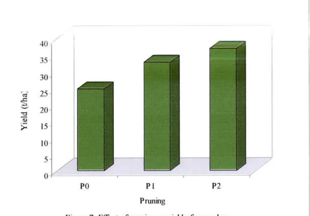 Figure 8.  Effect  of growth  regulators on  yield  of  cucumber 50 