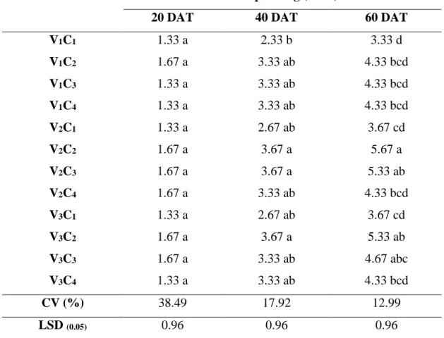 Table 2: Interaction effect of different  varieties and calcium on branch number  per plant of cherry tomato at different days after transplanting 