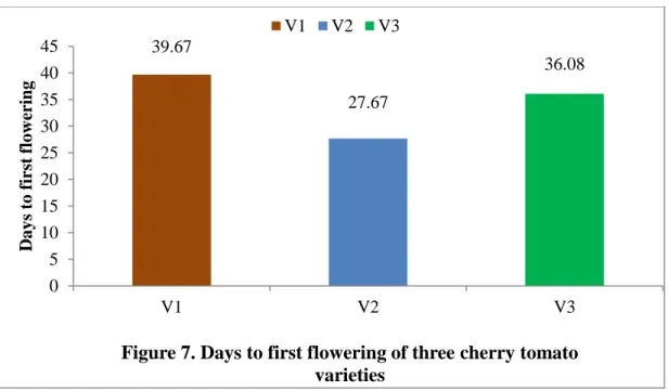 Figure 7. Days to first flowering of three cherry tomato  varieties