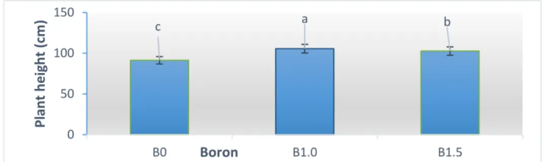Figure 4. Effect of different level of boron on plant height 