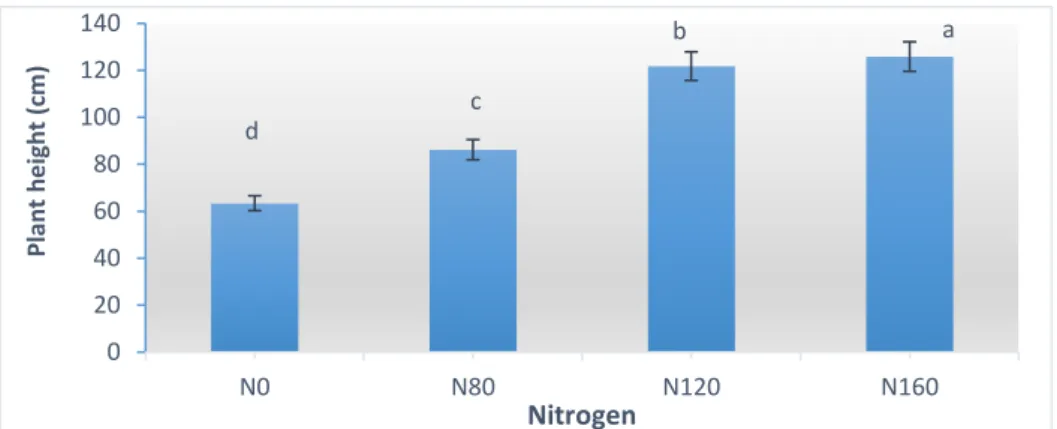 Figure 3. Effect of different level of nitrogen on plant height 