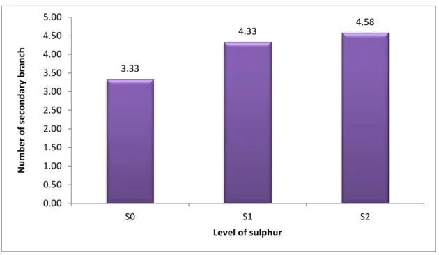 Fig.  6.    Effect  of  sulphur  on  number  of  secondary  branch  per  plant  of  black  cumin 