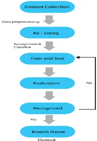 Figure 3.1.1 Steps of Data Collecting and Processing 