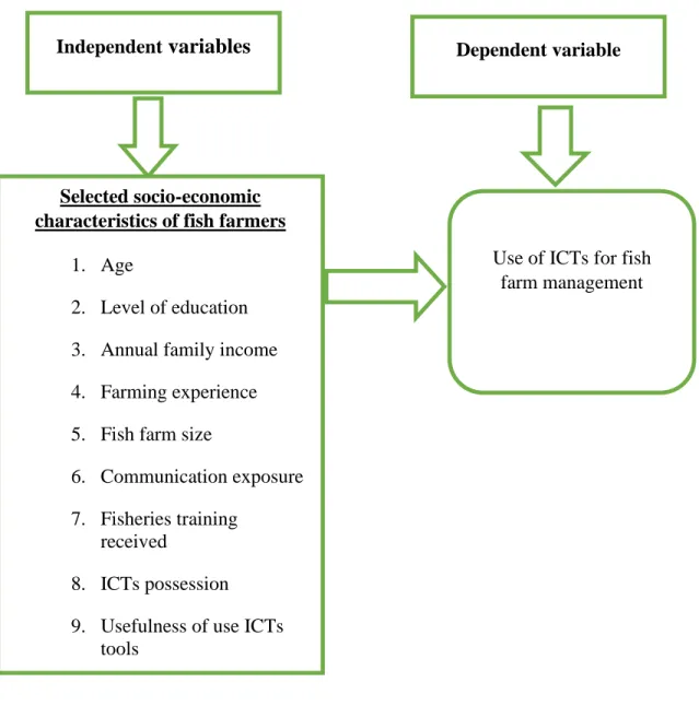 Figure 2.1 Conceptual framework of the study 