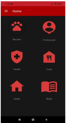 Figure 4.2: Interaction Design and UX 