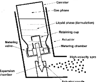 Figure 7: Structures of a typical Inhaler (Newman, 2005). 