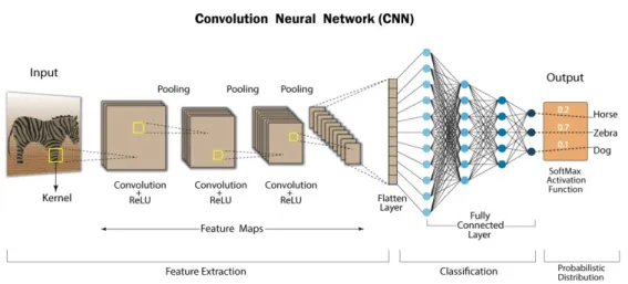Figure 2.2: ReLU Layer in CNN[50]