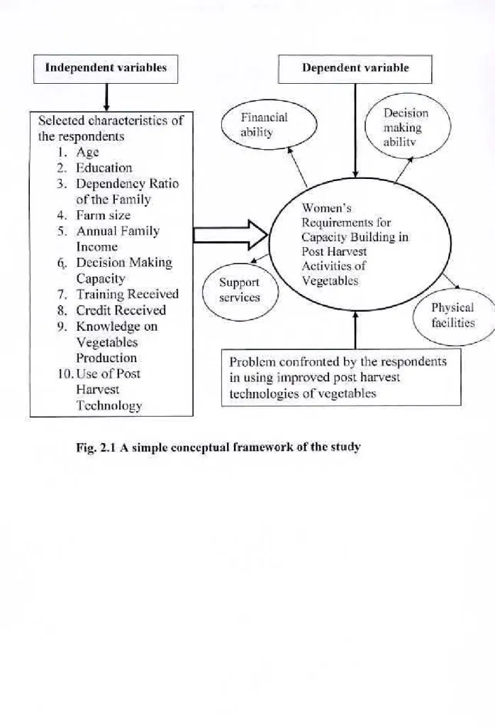 Fig. 2.1 A simple conceptual framework of the study 