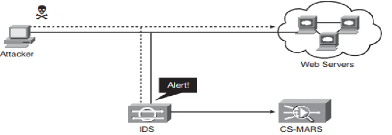 Fig 2.6: Intrusion Detection System. 
