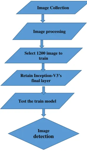 Fig 3.1: Diagram of workflow 
